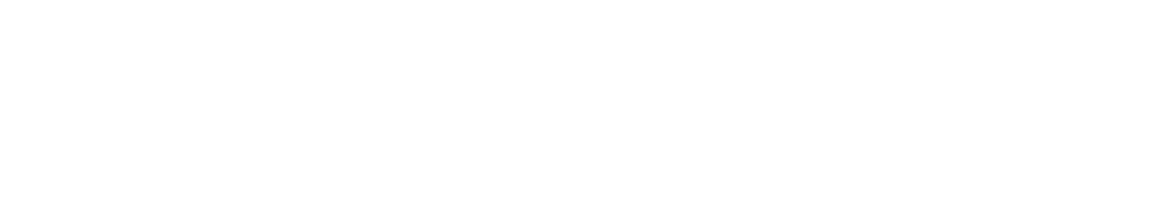 Logo-Draidel-Dark