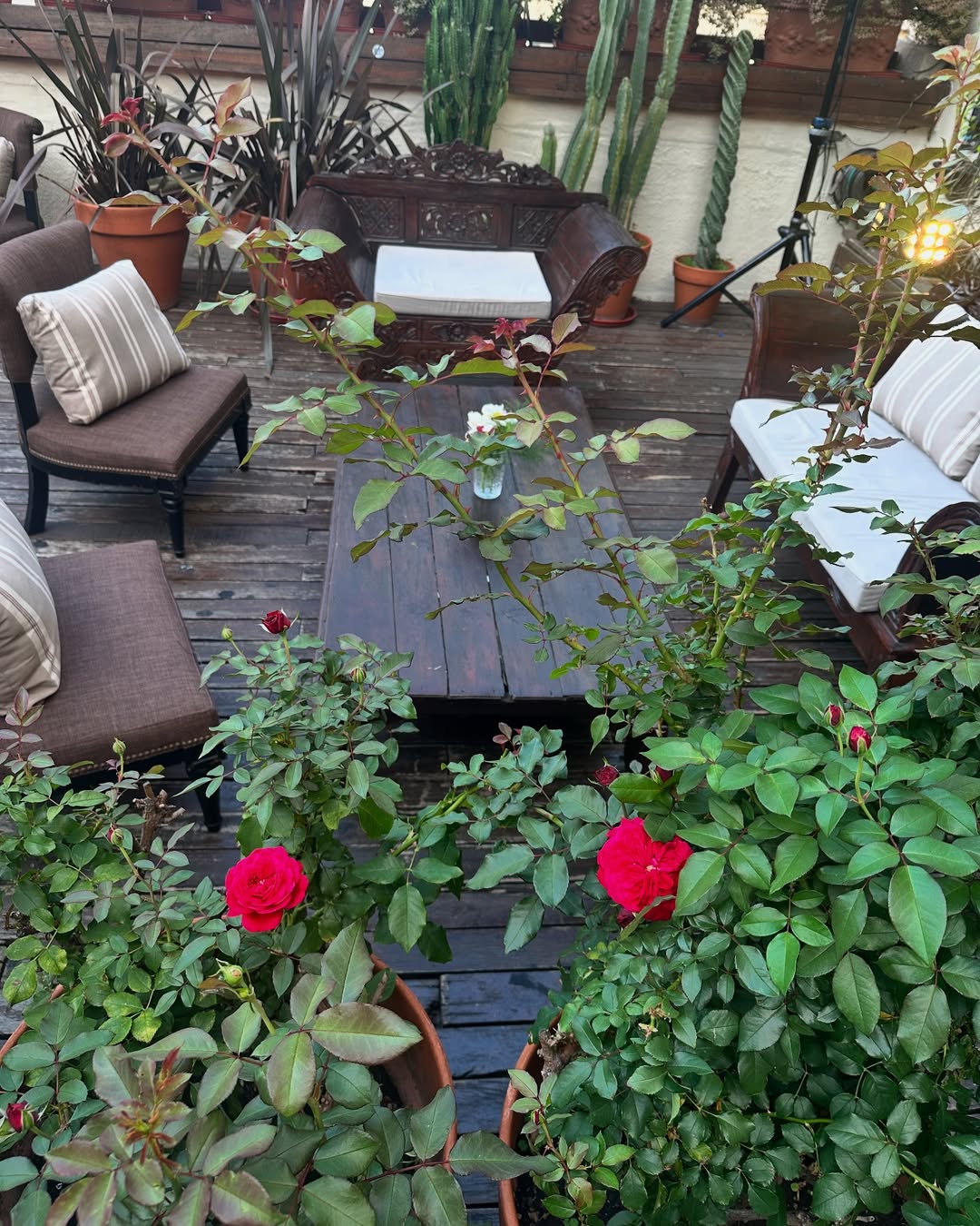 Vista principal del salón Irene La Terrasse con iluminación cálida